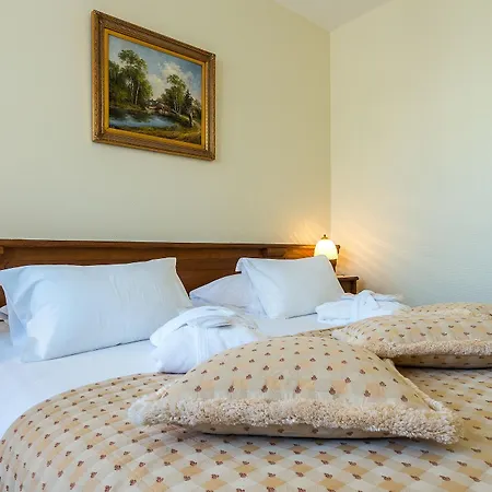 Hotel Century